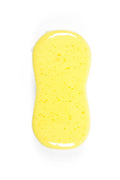 Jolly sponge