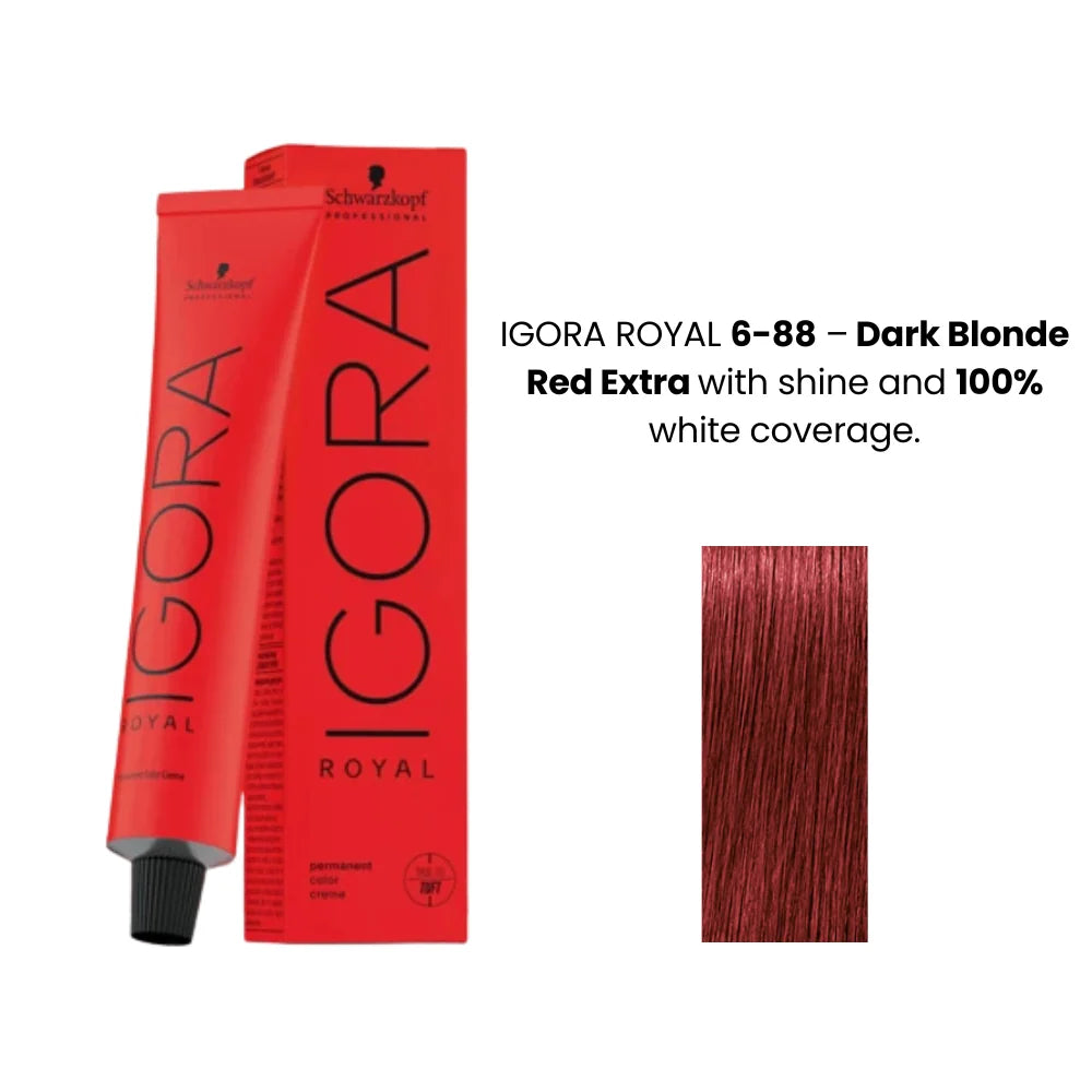 Schwarzkopf Igora Hair color tube 6-88 60ml
