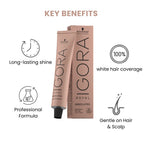 Schwarzkopf Igora Hair Color tube 6-80 60ml