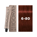 Schwarzkopf Igora Hair Color tube 6-80 60ml