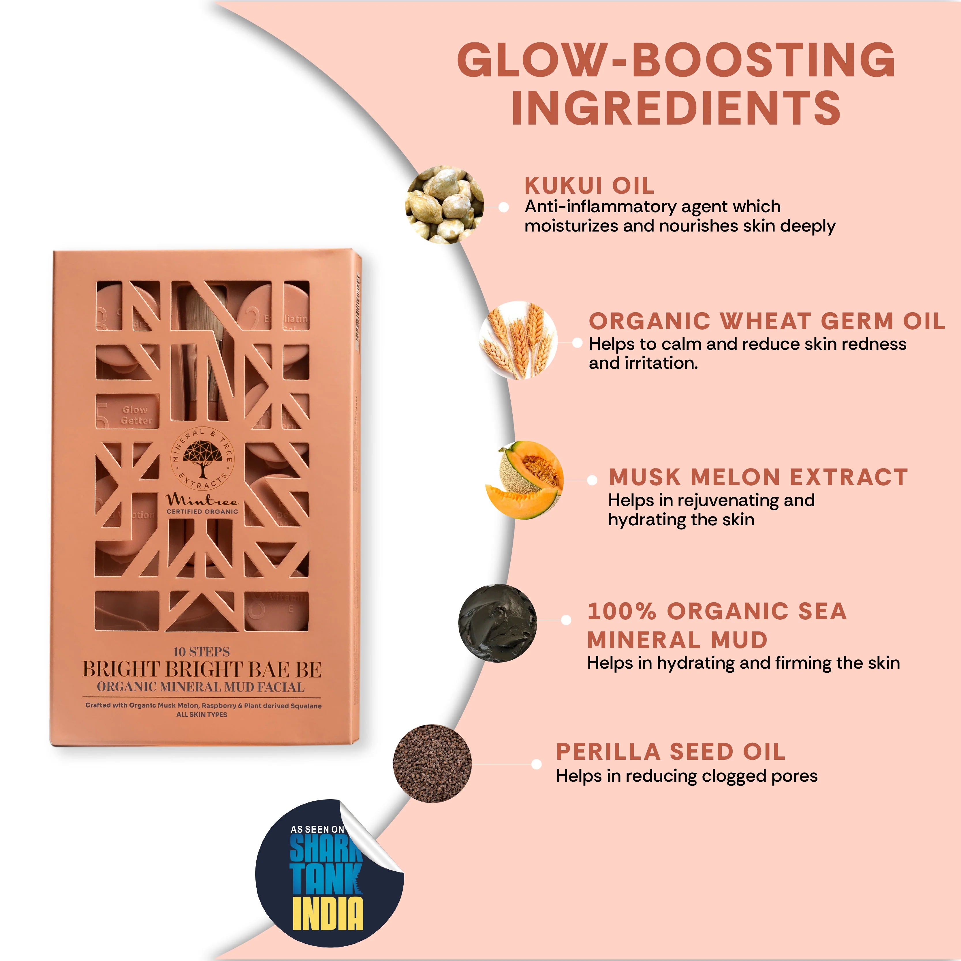 Minetree bright bright bae be organic miniral mud facial 117g