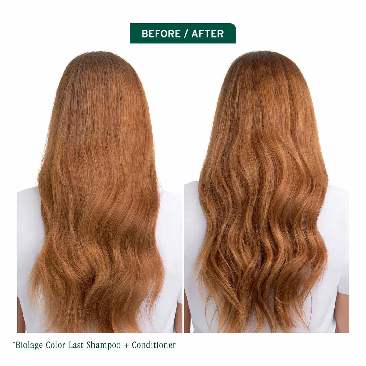 Biolage Color Last Shampoo 200ml for Color Treated hair